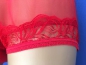Preview: Vintage Style Nylon Panty Red Sheer Pin-Up