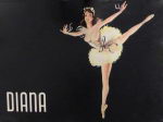 Preview: Diana US Nylonstruempfe Box