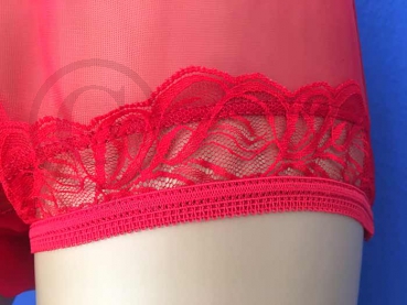 Vintage Style Nylon Panty Red Sheer Pin-Up