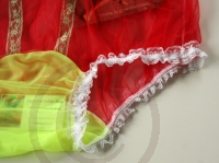 Red Sexy Sissy Style Nylon Panty Brief 3 XL