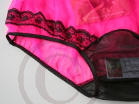 Pin-Up Style Sassy Sheer Pink Nylon Panty 3XL