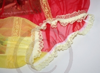 Vintage Style Red Sheer Nylon Panty Large