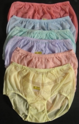 Vintage Style Brief Sheer Nylon Pin-Up