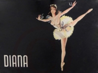 Diana US Nylonstruempfe Box