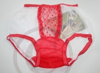 Retro Style White Sheer Nylon Pin Up Panty
