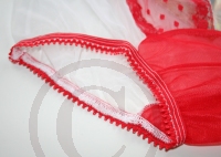 Retro Style White Sheer Nylon Pin Up Panty