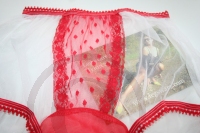 Retro Style White Sheer Nylon Pin Up Panty