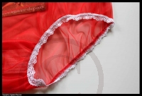 Sheer Vintage Style Red Devil Nylon Panty Brief