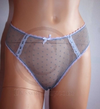 Zarter Grauer Slip in super transparenter Optik