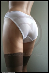 Sexy Hot Sheer White Panty Slip