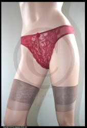 Sexy Hot Sheer Red Panty Slip