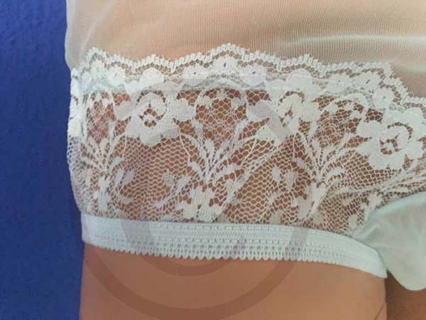 Retro Style Blue Sexy Sheer Nylon Panty