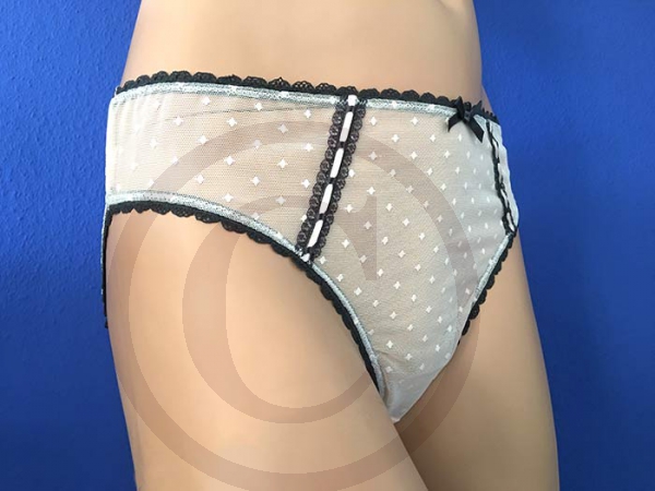 Soft Sheer Pink Nylon Panties Brief