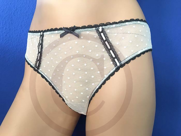 Soft Sheer Pink Nylon Panties Brief