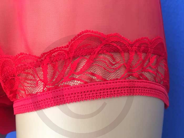 Vintage Style Nylon Panty Red Sheer Pin-Up
