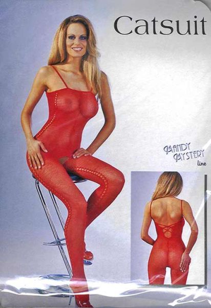 Sexy Roter Netz Catsuit Ouvert