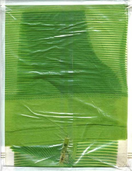 Exquisite Grün Gestreifte Vintage Nylonstrümpfe Nylons