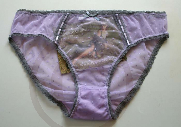 Soft Sheer Lilac Nylon Panties Brief