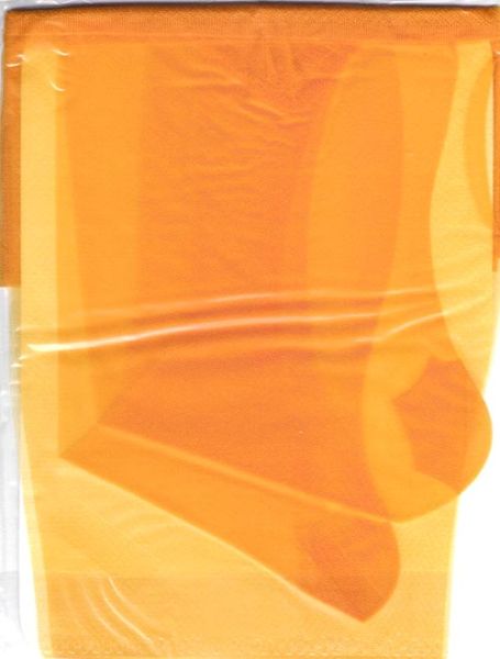 Princess Alte Orange US Nylonstrümpfe Gr. 10,5 L