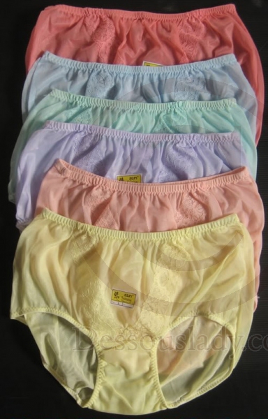 Vintage Style Brief Sheer Nylon Pin-Up