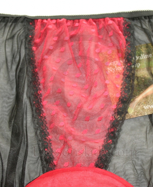 Pin-Up Style Sheer Black Nylon Panty Large