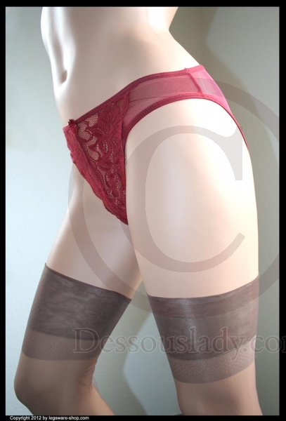 Sexy Hot Sheer Red Panty Slip